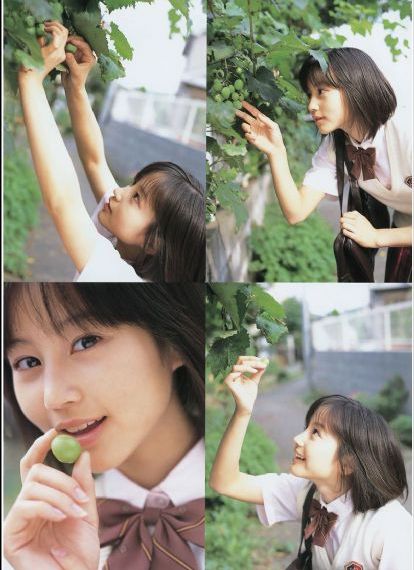 野花香视频在线观看社区_DVD免费观看最新