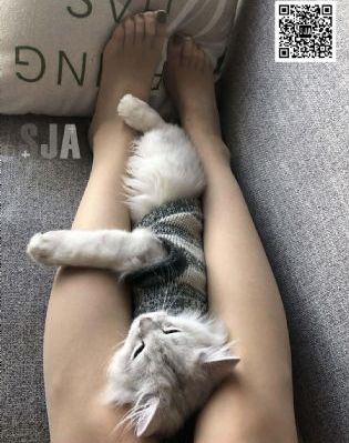 《聚会的目的_剧情片在线视频观看