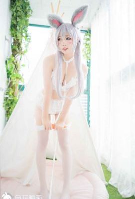 欧美人与动牲交免费观看视频_1080免费全集观看