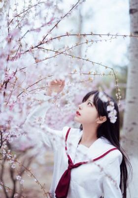 67idcon免费视频网站_手机免费播放动漫